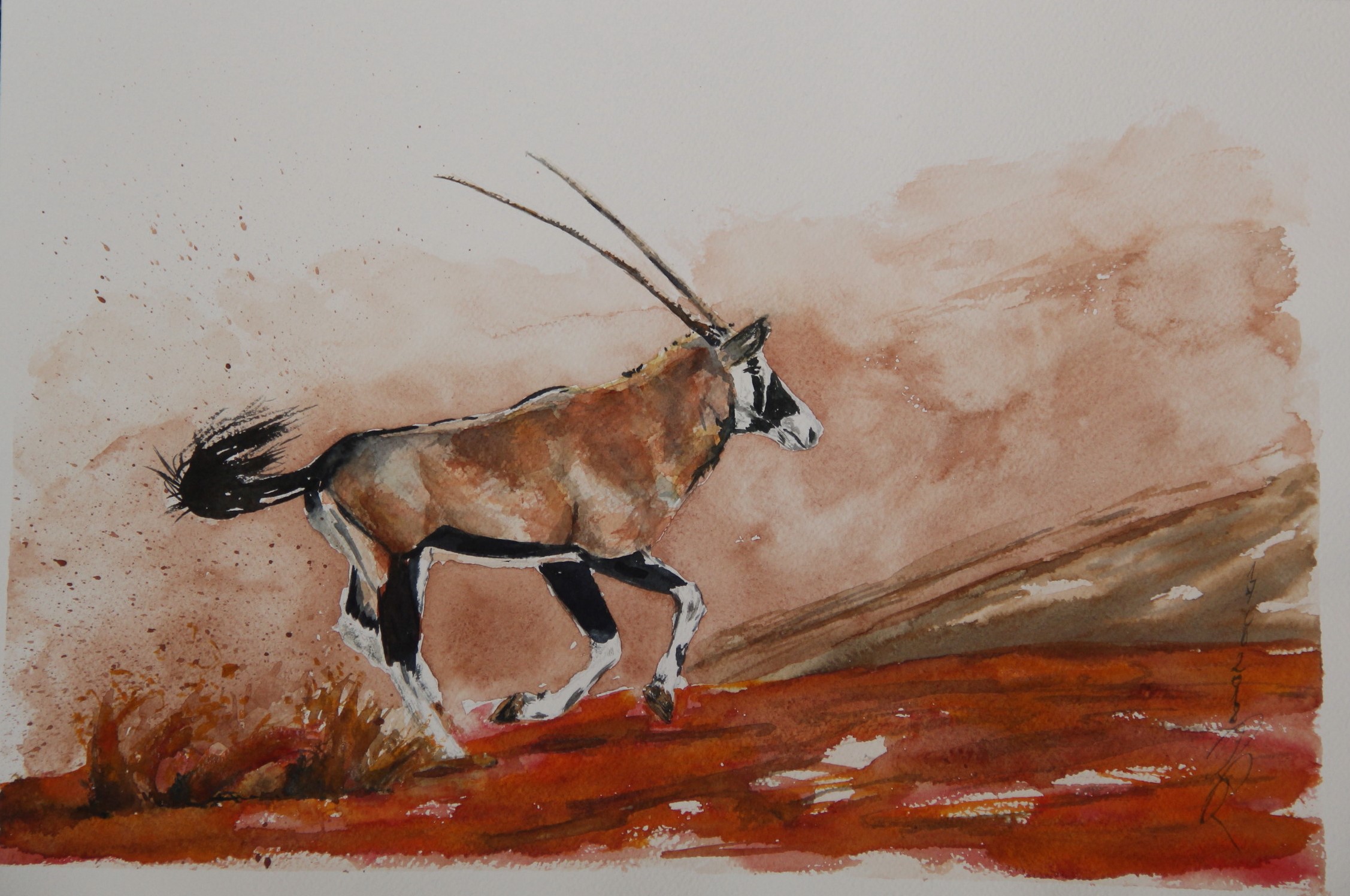 Orix Antilope 18 Juni 2018 B