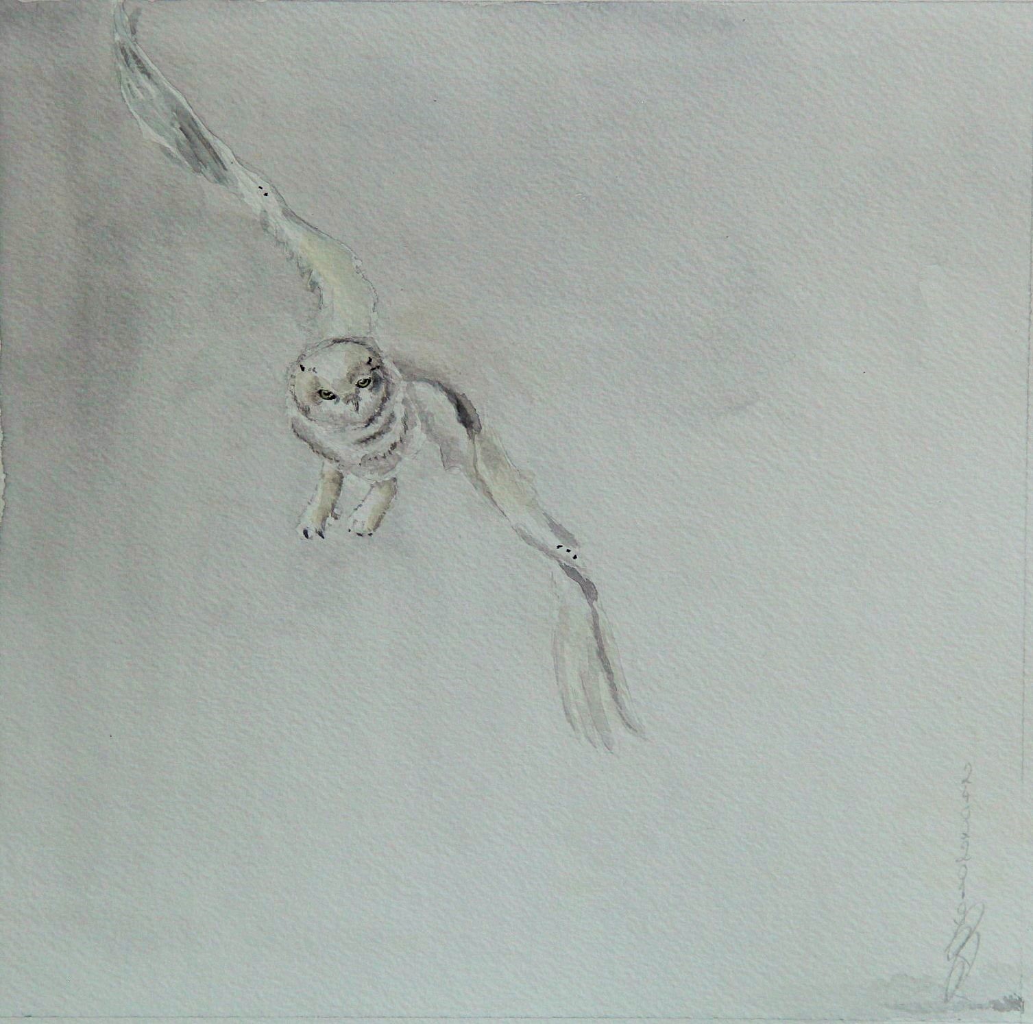Tiere Bild 7